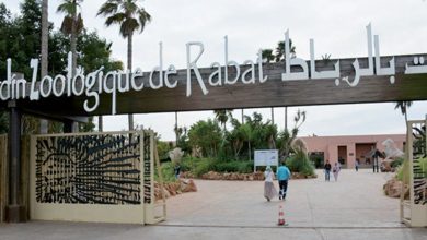 Photo de Le Jardin zoologique national de Rabat fête ses 10 ans !