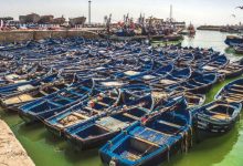 Photo de Pêche méditerranéenne : baisse des volumes mais hausse des revenus  