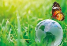 Photo de Financement de la biodiversité : une nécessité pour réaliser le potentiel économique de l’Afrique