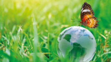 Photo de Financement de la biodiversité : une nécessité pour réaliser le potentiel économique de l’Afrique