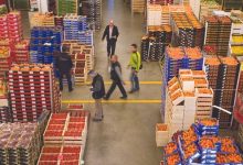 Photo de Produits agricoles marocains : les exportations vers l’Espagne ont doublé en 10 ans