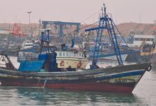 Photo de Pêche et aquaculture continentales : le Conseil national tient sa première réunion