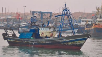 Photo de Pêche côtière et artisanale : les débarquements augmentent en valeur mais baissent en volume