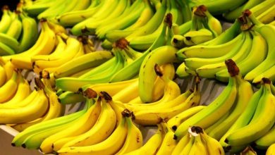 Photo de Le Maroc importe-t-il des bananes de Somalie ?
