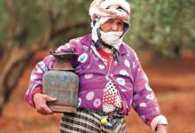 Photo de Justice sociale : les femmes rurales en première ligne face au changement climatique