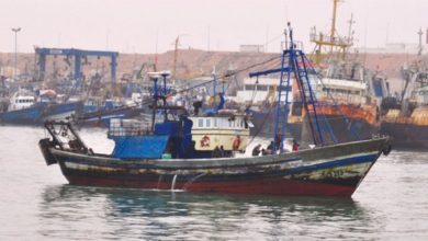 Photo de Pêche maritime : les ports de Tan-Tan et Sidi Ifni performent