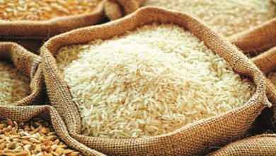 Photo de Sécurité alimentaire : le prix du riz au plus haut en 15 ans