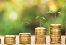 Photo de Investissement vert et inclusif : le PNUD Maroc mobilise les PME