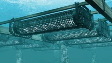 Photo de Aquacultures : les entreprises du secteur réunies à Agadir