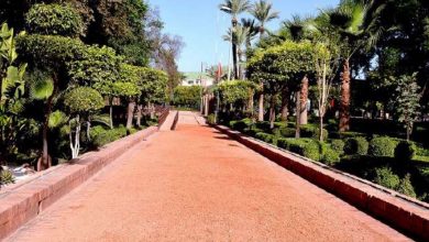 Photo de Environnement : Marrakech veut devenir une cité-jardina