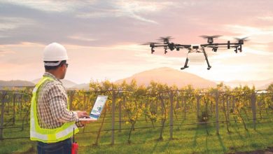 Photo de Productivité agricole. Les drones pour une meilleure rentabilité