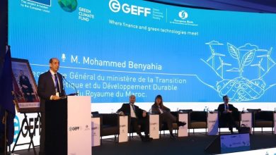 Photo de Finance verte : la BERD officialise sa “nouvelle ligne GEFF II”