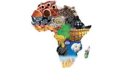 Photo de Ressources naturelles : la conjoncture favorise l’Afrique