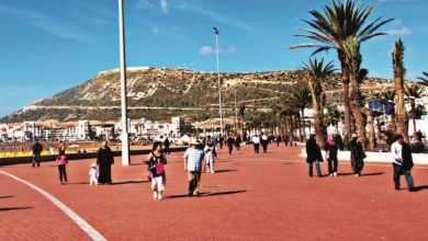 Photo de Agadir Souss-Massa : la SDR TPMET active son programme d’appui