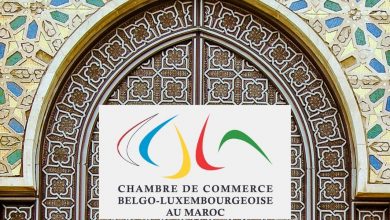 Photo de Chambre de commerce belgo-luxembourgeoise au Maroc : voyage d’affaires en Belgique