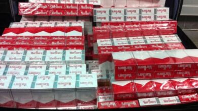 Photo de Cigarettes de contrebande : saisies record en 2022 