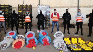 Photo de Trafic de drogue : saisie record de chira à Tanger