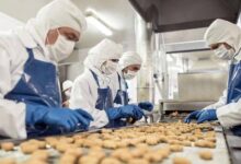Photo de Agroalimentaire : la Fenagri ouvre les portes du marché canadien aux exportateurs