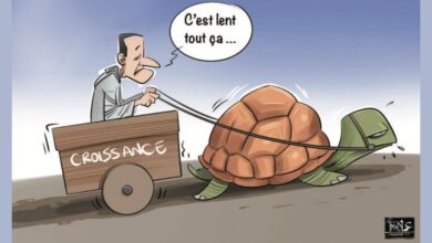 Photo de Croissance : les moteurs calent !