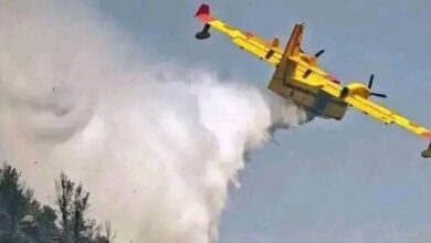 Photo de Feux de forêt à Larache: 900 hectares touchés par les flammes