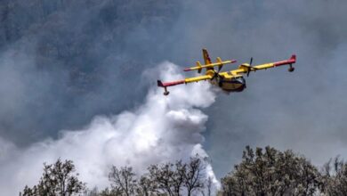 Photo de Lutte contre les incendies de forêts : un bilan encourageant