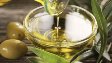 Photo de Huile d’olive et huile de table, toute une histoire