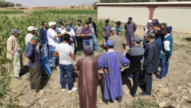 Photo de Génération de revenus et lutte contre le changement climatique : l’association Ibn Al Baytar poursuit la plantation des arbres au Maroc