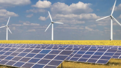 Photo de Investissement : c’est l’affluence dans les énergies vertes !