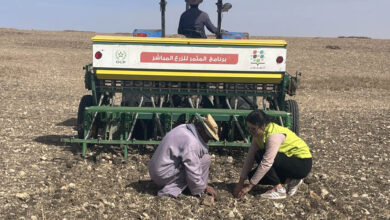 Photo de Semis direct : la région Béni Mellal-Khénifra vise les 80.000 ha à l’horizon 2030