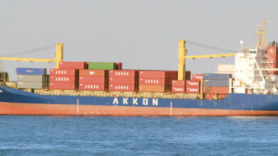 Photo de Plateformes portuaires : les armateurs turcs débarquent