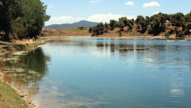 Photo de Parc national d’Ifrane : un AMI lancé pour l’aménagement et la valorisation