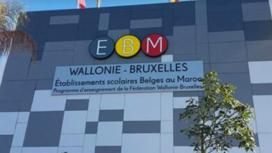 Photo de Enseignement : l’école belge lance sa première école du dehors 