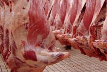 Photo de Flambée des viandes rouges : la FAO confirme le constat de Sadiki