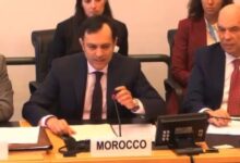 Photo de La gestion de la question migratoire par le Maroc saluée à Genève