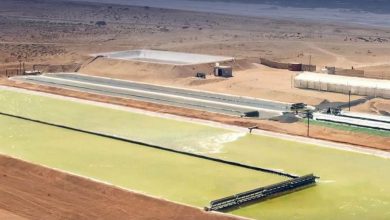 Photo de Production d’algues : Brilliant Planet investit au Maroc