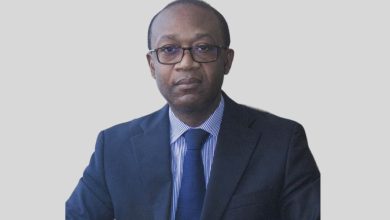Photo de Coopération. Achille Bassilekin III : “Le Cameroun est à la recherche de partenaires efficaces”