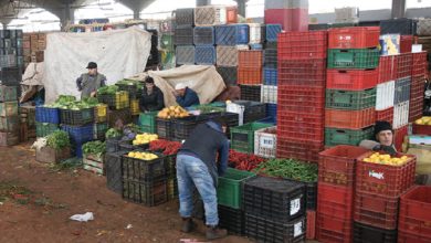 Photo de Fruits et légumes/Marché de gros de Dakhla : l’aménagement et la réhabilitation démarrent en juin
