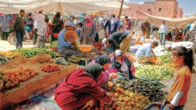 Photo de Fès-Meknès : la région mise sur la modernisation des souks ruraux