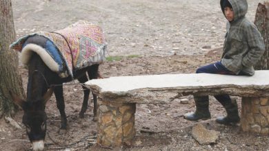Photo de Pénurie d’eau à Ifrane : une menace imminente, des solutions en marche !