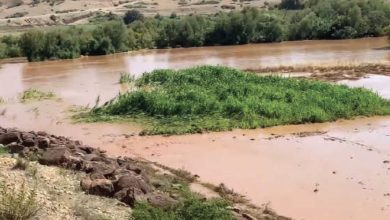 Photo de Dévastation après les intempéries/Sebou : Les inondations du barrage Allal El Fassi causent des pertes agricoles et des dommages considérables