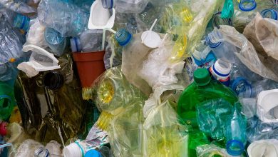Photo de Environnement : coup d’envoi au Kenya des négociations internationales pour réduire la pollution plastique