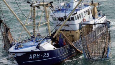 Photo de Maroc-UE. Annulation de l’accord de pêche : et après ?