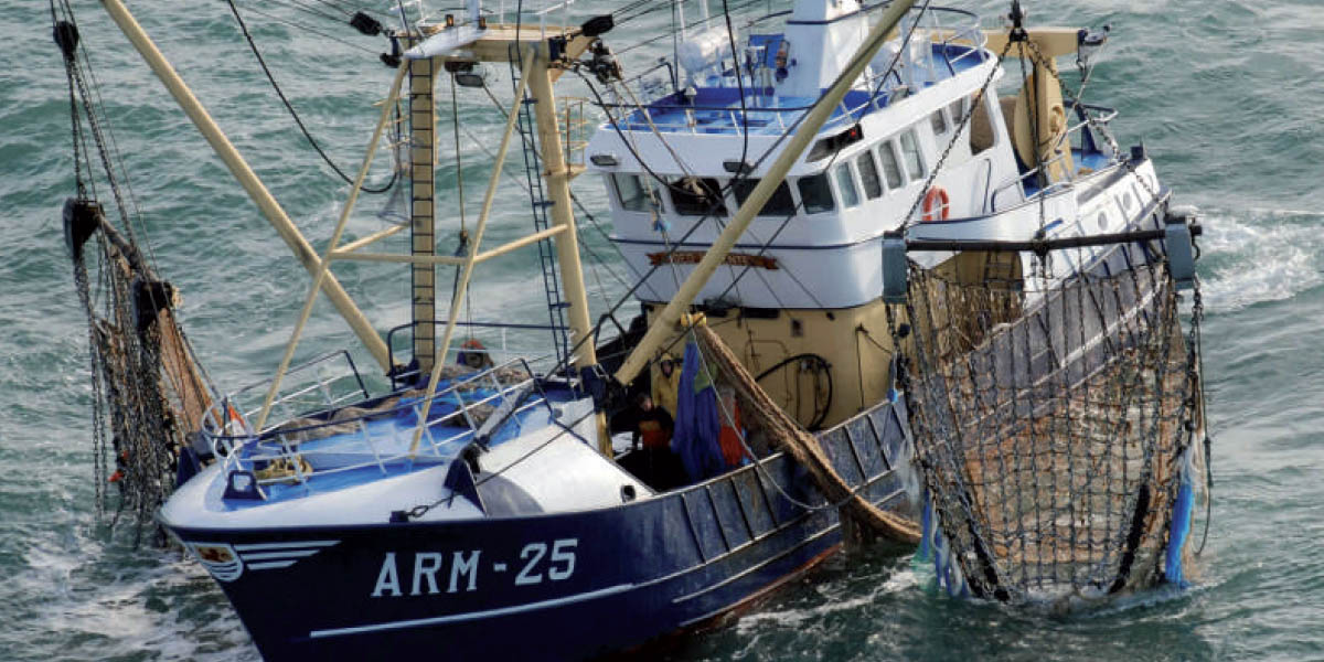 Maroc-UE. Annulation de l’accord de pêche : et après ?