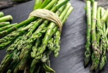 Photo de Agriculture : les exportations d’asperges cartonnent