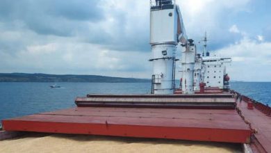 Photo de Blé : un nouveau navire quitte le port ukrainien de Tchornomorsk pour l’Égypte