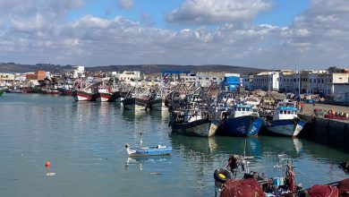 Photo de Port de Larache : nette hausse de l’activité en août