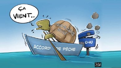 Photo de Accord de pêche Maroc-UE : les péripéties judiciaires se prolongent