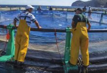 Photo de Économie bleue : un potentiel de croissance élevé au Maroc