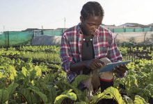 Photo de Climat : adapter et valoriser l’agriculture africaine
