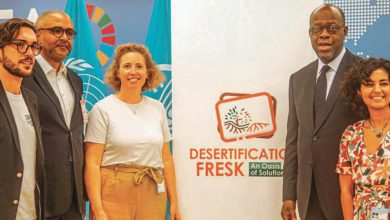 Photo de Initiatives : une startup marocaine contribue à «la Fresque de la désertification»